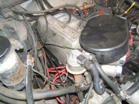 1988 Ford Bronco - The engine bay features a Ford electronic fuel injection system with visible wiring and hoses.