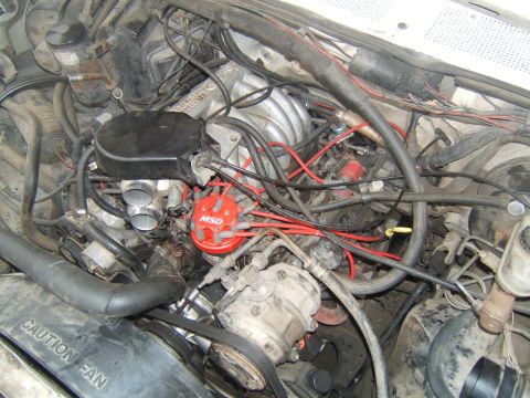 1988 Ford Bronco - Close-up view of a vehicle's engine bay, highlighting the MSD ignition system and intake manifold.