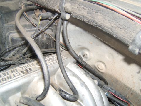 1988 Ford Bronco - Close-up view of an engine bay, showing various hoses and electrical wiring. Text on the engine component reads "ELECTRONIC FUEL INJECTION".