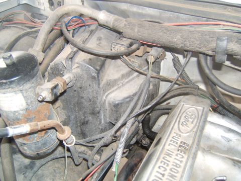 1988 Ford Bronco - Close-up of engine bay components including a Ford valve cover and wiring harness.