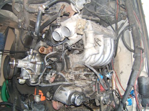 1988 Ford Bronco - Close-up view of a Ford V8 engine, showing the intake manifold, fuel injection system, and water pump.