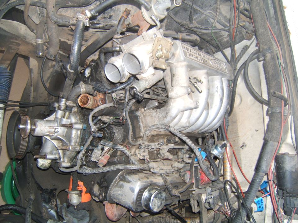 Ford V8 engine with electronic fuel injection intake manifold and water pump