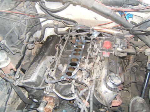 1988 Ford Bronco - Close-up view of a V8 engine, likely undergoing maintenance or a rebuild, with the intake manifold detached.