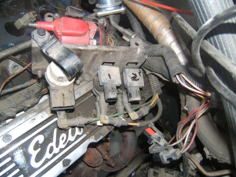 1988 Ford Bronco - Engine bay details show a red ignition coil and fuel injectors with visible wiring and hoses.