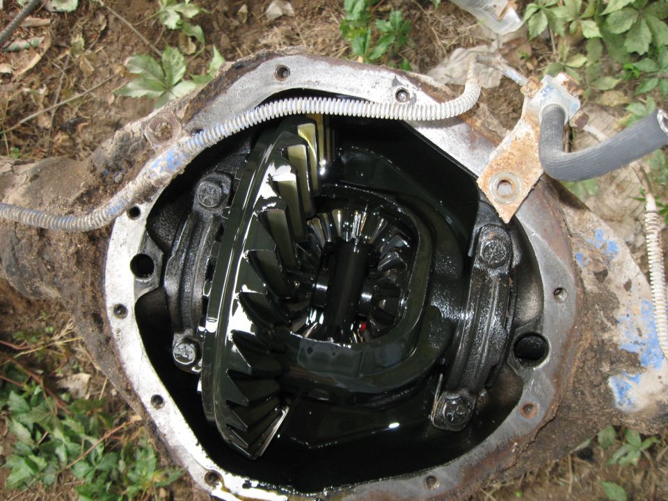 Open differential housing showing gears and dark fluid
