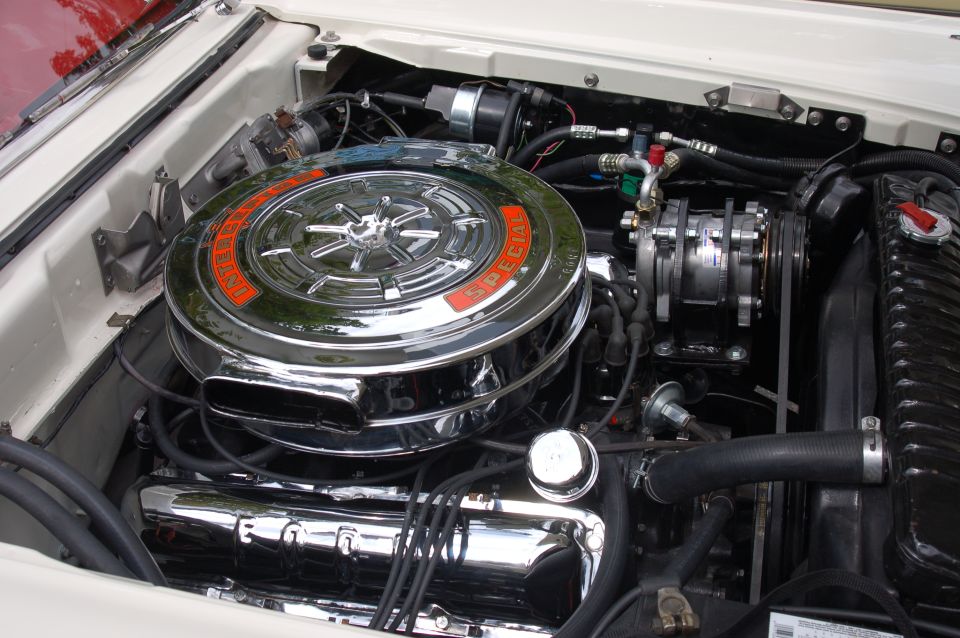 Engine Compartment: 06-21-09
