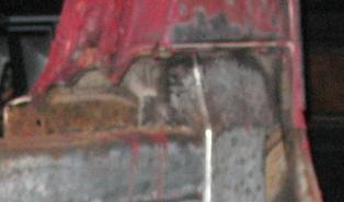 1978 Ford Bronco - Close-up of a rusted vehicle body panel, showing significant corrosion and damage.
