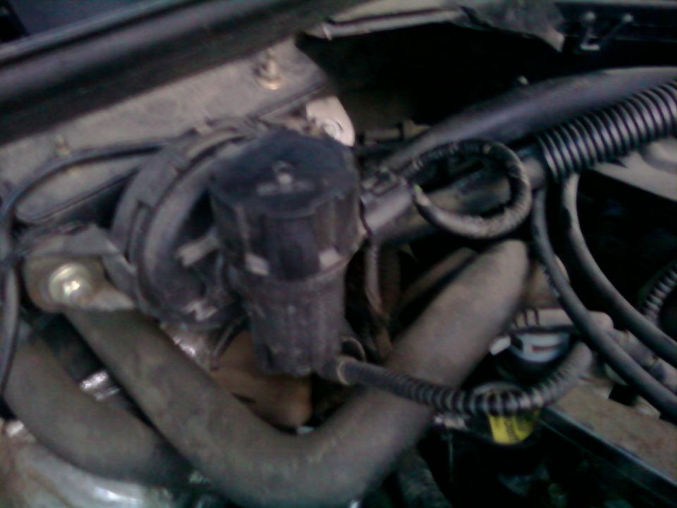 Engine bay hoses and black plastic component