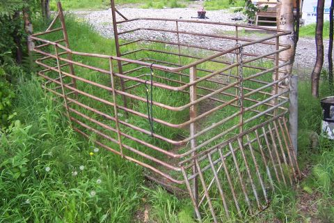 1987 Ford Bronco II - A rusty metal livestock pen stands in a field of tall grass and weeds.