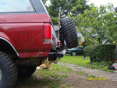 1989 Ford Bronco - A dog rests in the shade of a red SUV, which has a spare tire mounted on its rear carrier.
