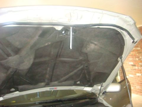 2001 Lexus IS 300 “Lynn”