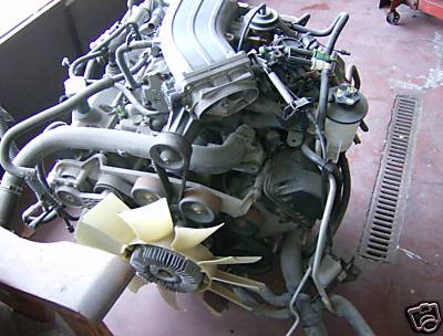 1993 Ford Crown Victoria - Engine assembly with fan, hoses, and belts. Water reservoir visible. Grate on floor.