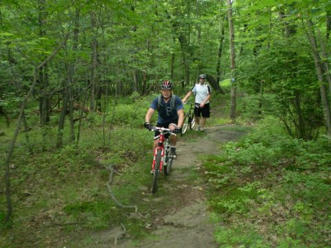 1981 Garelli Rally Sport - Two cyclists navigate a dirt path through a dense forest, with a watermark indicating the source as SUPERMOTORS.NET.