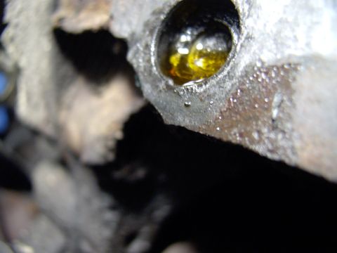 1986 Ford Bronco - Rear lower passenger side cylinder head bolt busted clean off. Probably from ice in the block, definitely the reason the head gasket let go.