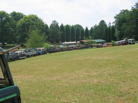 1992 Ford Mustang - A collection of vintage vehicles, including trucks and vans, are parked in a grassy junkyard.