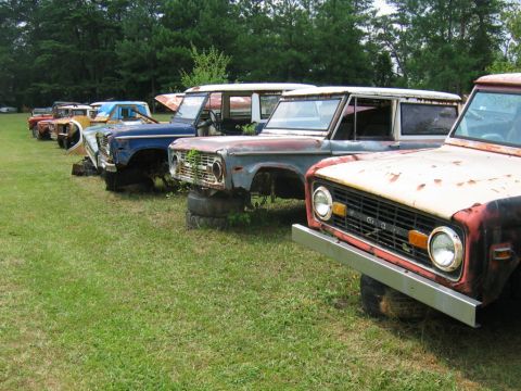 1992 Ford Mustang - Several Ford Broncos are lined up in a grassy junkyard, showing their front ends.