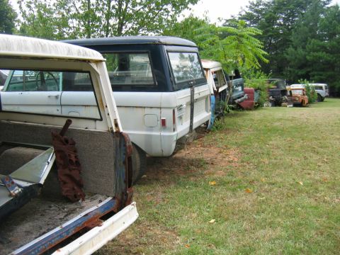 1992 Ford Mustang - A row of vintage Ford Broncos sits in a grassy junkyard, awaiting restoration or parts.