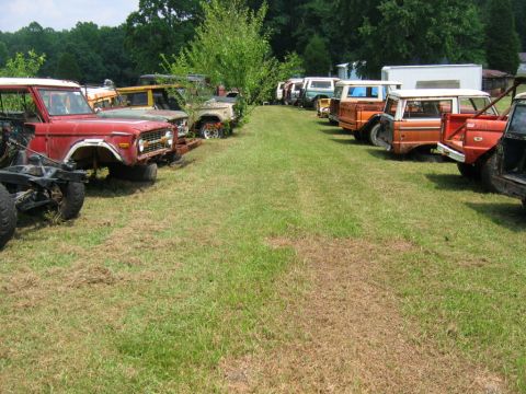 1992 Ford Mustang - Multiple vintage Ford Broncos are lined up in a grassy field, appearing to be in a junkyard setting.