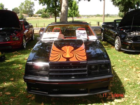 1978 Ford Mustang II - This black Mustang features a distinctive cobra graphic on its hood, parked outdoors with other vehicles.