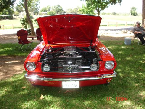 1978 Ford Mustang II - A red Ford Mustang is parked on grass with its hood open, displaying the engine.
