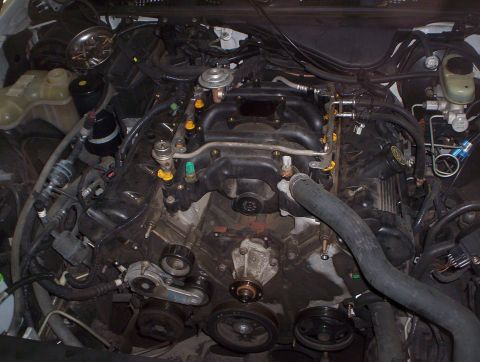 1996 Mercury Grand Marquis - the beginning....