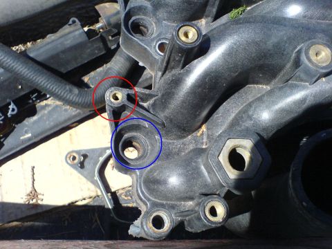 2000 Mercury Grand Marquis - red circle is COP insert, blue is injector seat.
