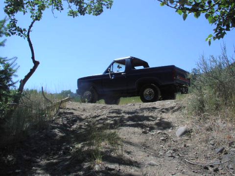 1981 Ford Bronco - posing