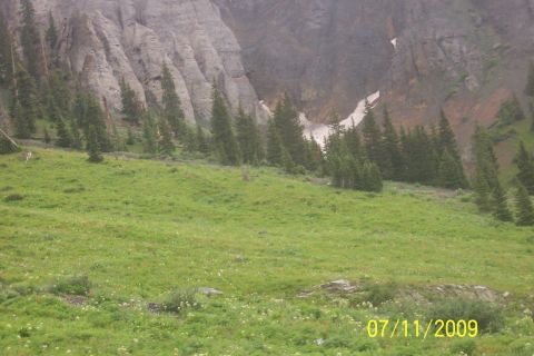 1996 Ford Bronco - A scenic view of a mountain range with scattered pine trees and a lush green meadow.