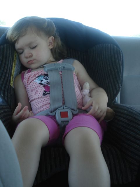 2000 Ford Crown Victoria - Peacefully asleep on the way up to Niagara Falls.