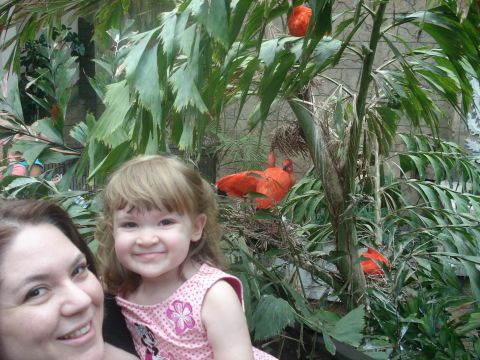 2000 Ford Crown Victoria - A woman and a young child pose for a photo in an aviary with scarlet ibis birds.
