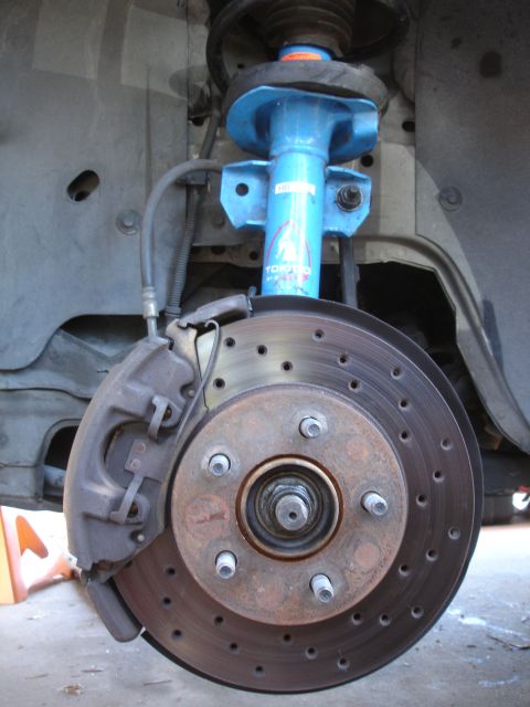 1990 Ford Taurus - Front brake assembly a drilled rotor and a blue performance shock absorber.
