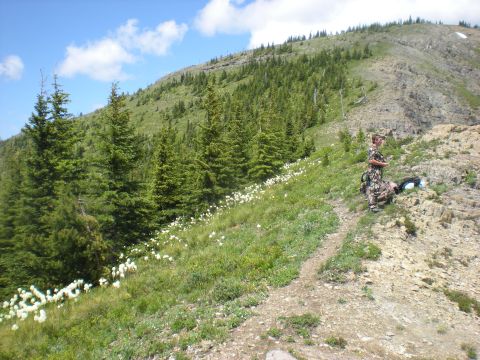 1974 Ford Ranchero - A person rests on a mountain path surrounded by trees and wildflowers under a blue sky.