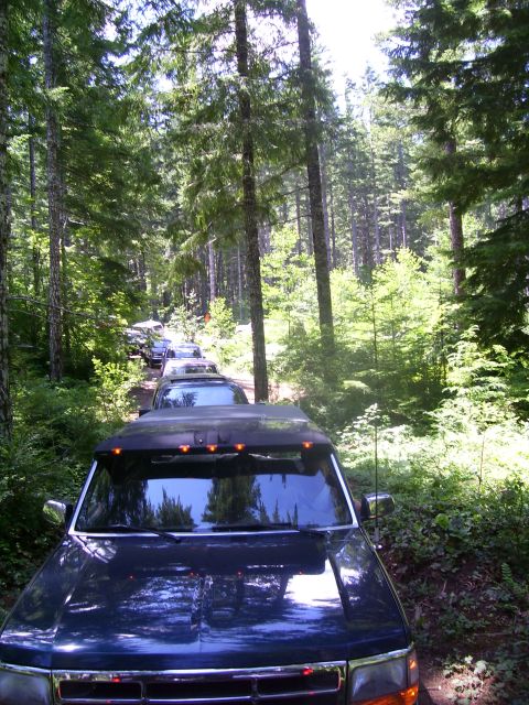 1991 Ford Bronco - Multiple SUVs navigate a wooded trail, suggesting an off-road excursion.