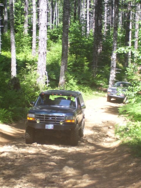 1991 Ford Bronco - Two SUVs navigate a wooded trail, one in the foreground and another further down the path.