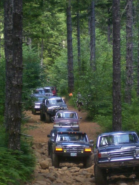1991 Ford Bronco - Several Ford trucks navigate a challenging, rocky trail through a dense forest.