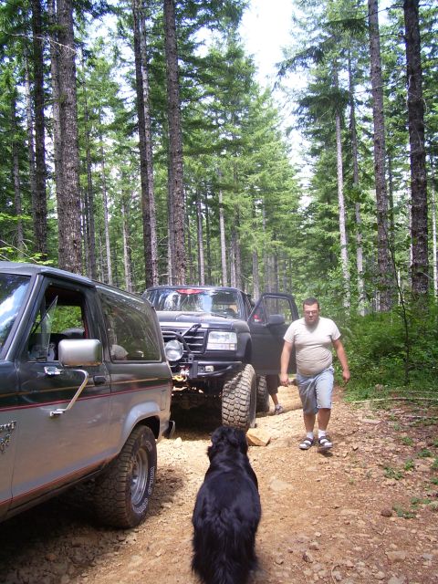 1991 Ford Bronco - A 1991 Ford Bronco and another off-road vehicle are parked on a dirt path surrounded by trees, with a man and a dog nearby.