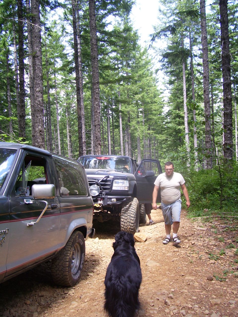 Two-tone 1991 Ford Bronco parked on a dirt road next to another SUV