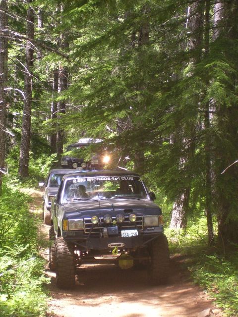 1991 Ford Bronco - Several Ford Broncos navigate a dirt path through a dense forest during an off-road excursion.