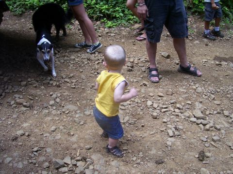 1991 Ford Bronco - A child and two dogs are on a rocky dirt path, with adults in the background.