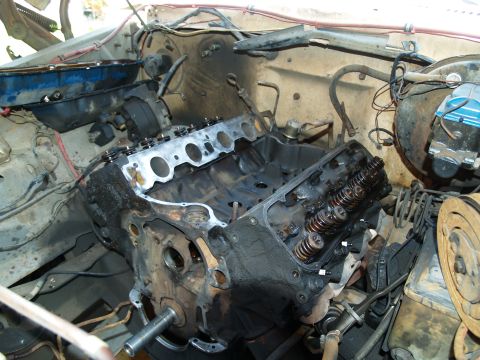 1977 Ford F-250 photo