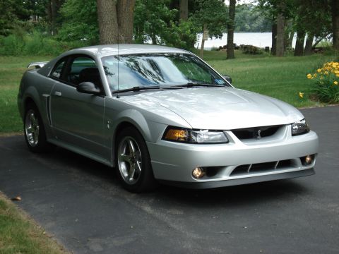 1998 Ford Taurus - This silver 2001 Ford Mustang coupe is parked on a driveway with trees and a lake in the background.