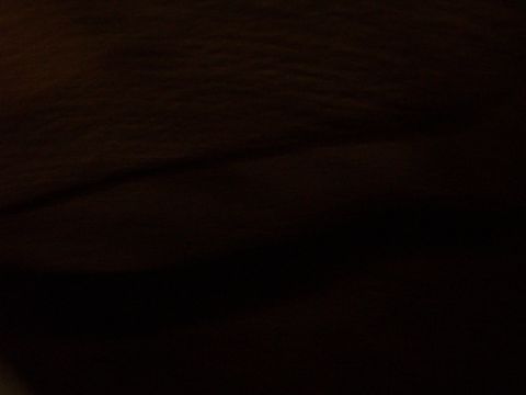 1985 Ford Bronco - The interior of a vehicle is visible in this dark photograph, with no clear details of the make or model identifiable.