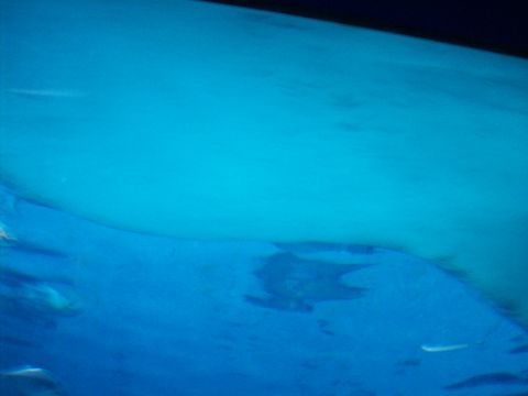 1985 Ford Bronco - An abstract underwater view with varying shades of blue and light patterns.