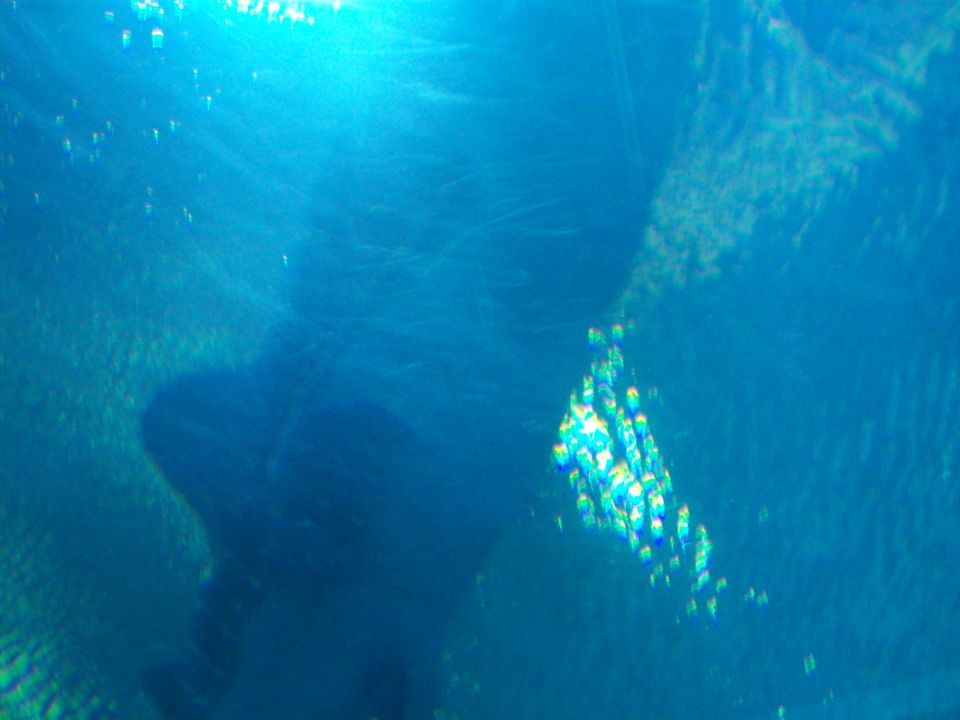 Underwater scene with sun rays and a large, indistinct shadow of an object