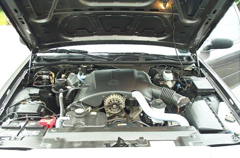 2001 Ford Crown Victoria - Engine bay of a 2001 Ford Crown Victoria, displaying the V8 engine and associated parts under the open hood.