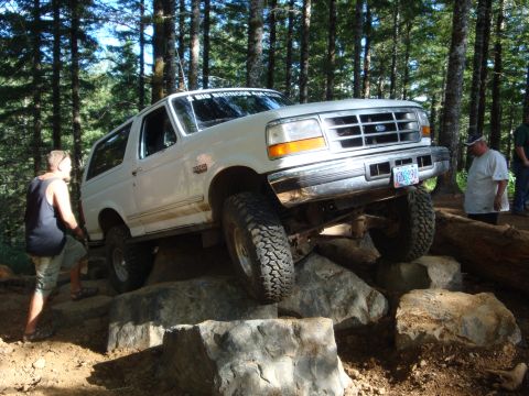 1978 Ford Bronco - Alvie at Canopener