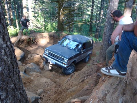 1978 Ford Bronco - Tasha at Canopener