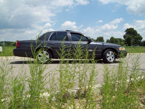 2004 Ford Crown Victoria - This 2004 Ford Crown Victoria Lx Sport sedan is seen from the side, partially obscured by tall grass.