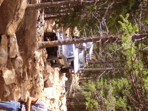 1978 Ford Bronco - A white SUV is seen on a challenging off-road trail, surrounded by trees and rocks.