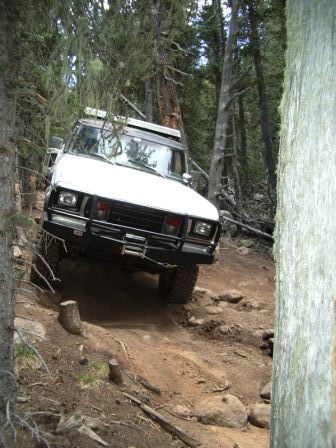1978 Ford Bronco - This off-road vehicle navigates a challenging path through a dense forest.